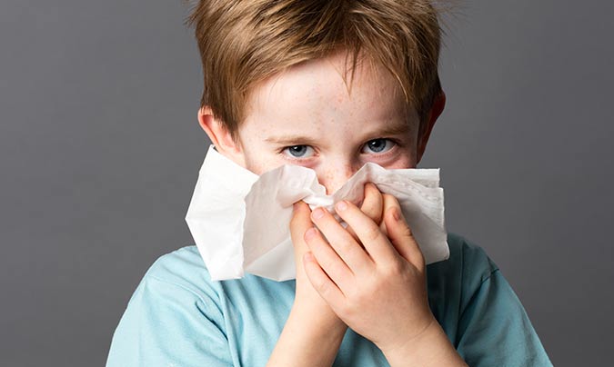 Reactividad cruzada: cuando una alergia al polen puede desencadenar alergias alimentarias