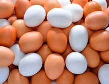 En el Día Mundial del Huevo… ¿por qué es el huevo un regalo de la naturaleza?
