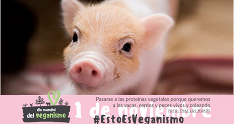 Del Día Mundial del Vegetarianismo, al del Veganismo; octubre, el mes más ‘verde’