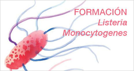 Formación sobre Listeria monocytogenes: una visión práctica sobre control y prevención 