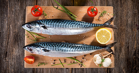 El cambio climático podría hacer desaparecer la sardina y la caballa de nuestra dieta