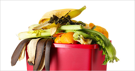 Te contamos las claves  para reducir el desperdicio alimentario en diez artículos